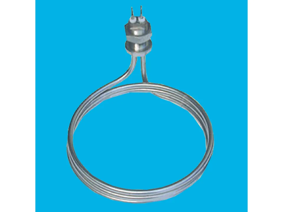 Điện trở nhuộm DN10.1