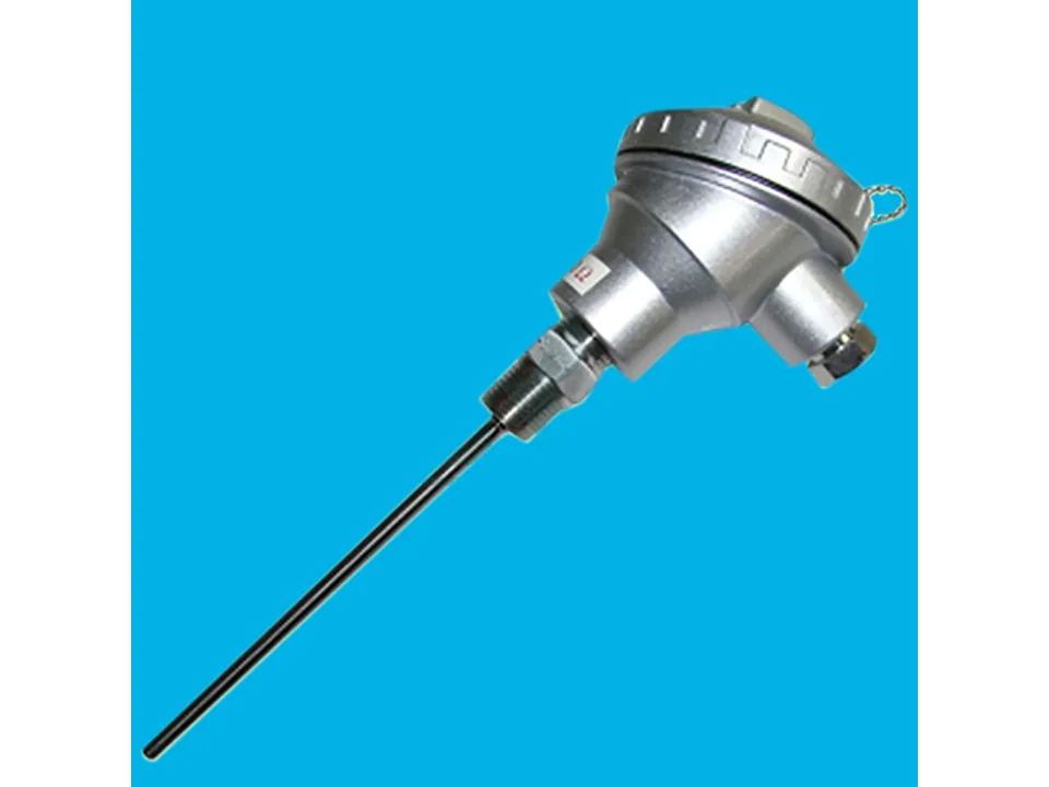Cặp nhiệt điện CBN1.2 (PT100)
